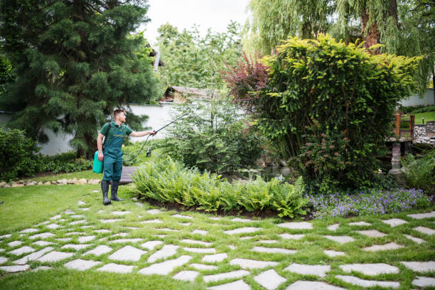 Best Best Pest Control Companies  in Corunna, MI