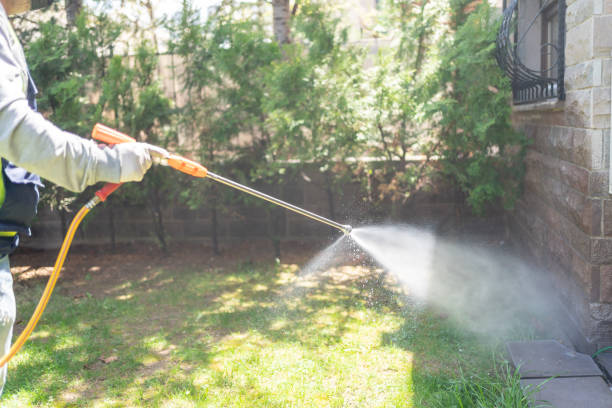 Reliable Corunna, MI Pest Control Solutions