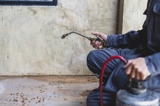 Best Termite Control Services  in Corunna, MI